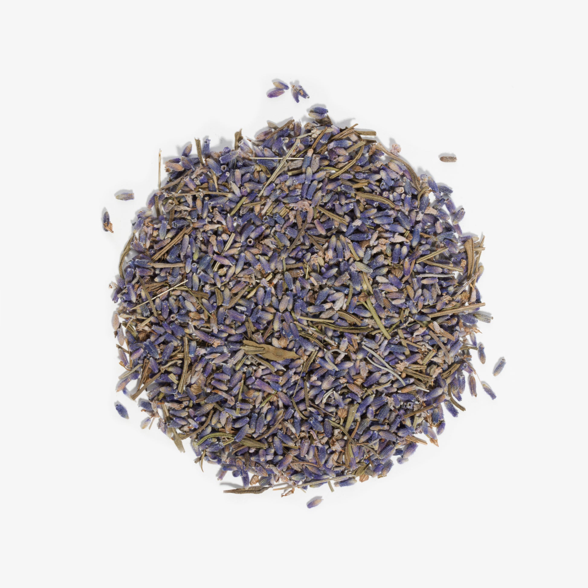 Lavendel